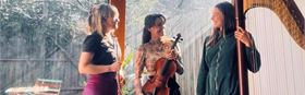 Kew Court House Live: Trio Lyra