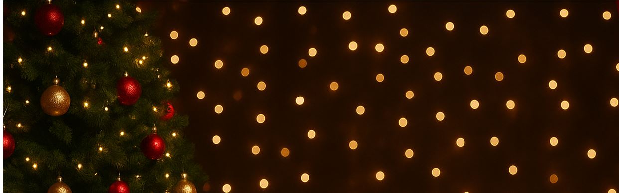 Alinta's Sparkling Christmas