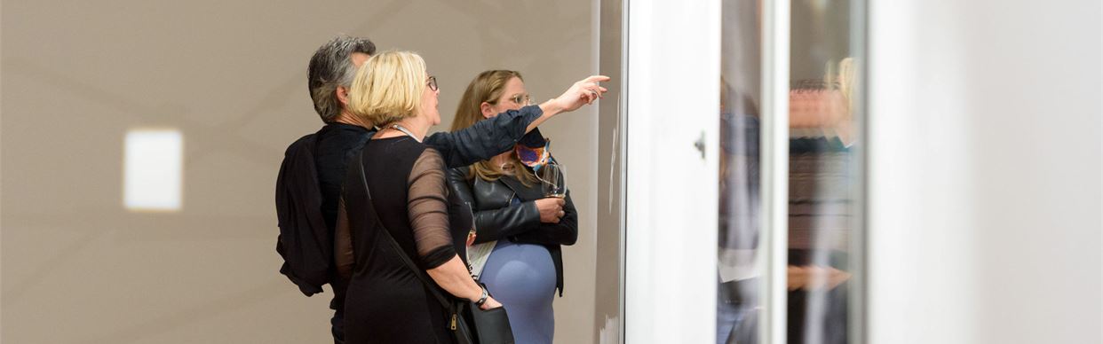 Exhibition Tour - Plural Selves: David Rosetzky