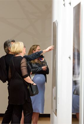 Exhibition Tour - Plural Selves: David Rosetzky